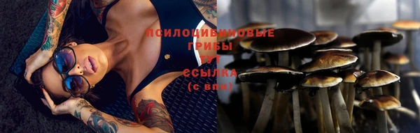 крисы Абдулино