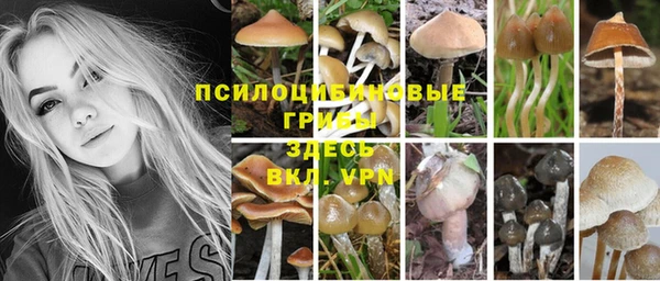 крисы Абдулино