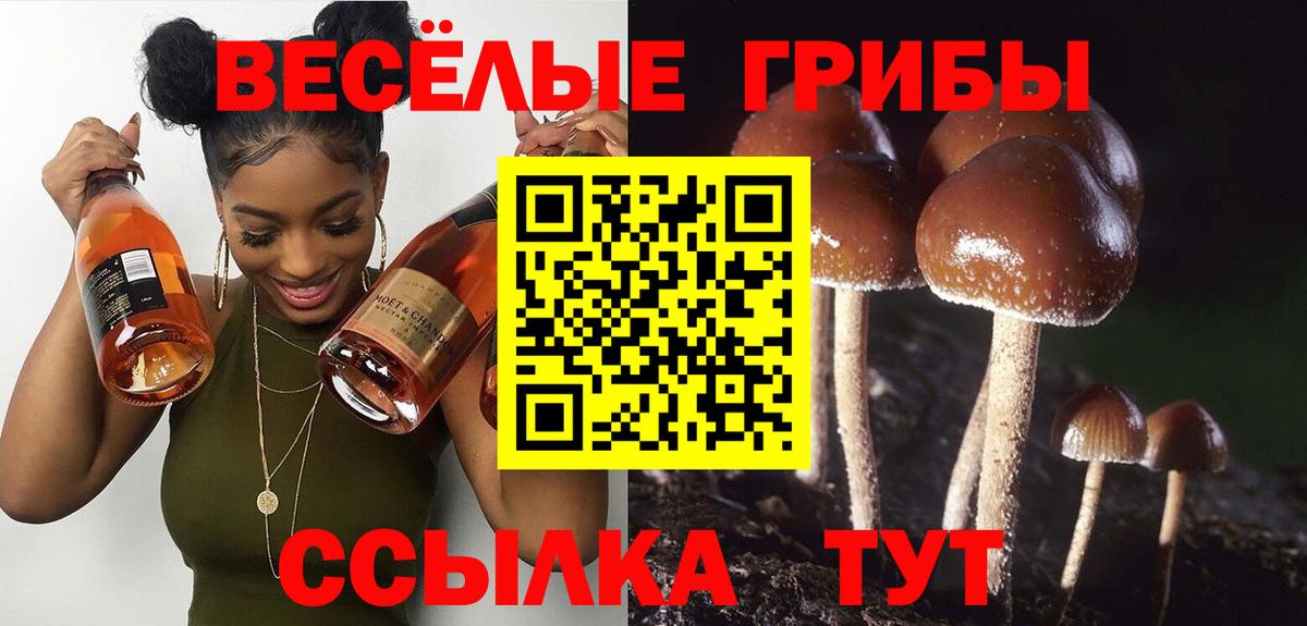 Галлюциногенные грибы мухоморы Заволжье