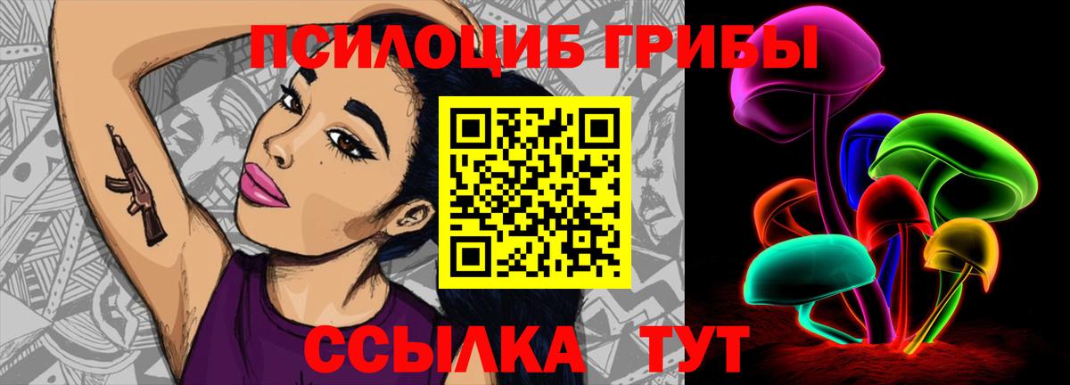 Заволжье  Псилоцибиновые грибы Psilocybine cubensis  Вход с VPN  Псилоцибиновые грибы ЛСД 